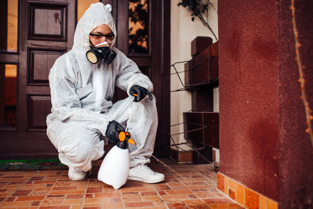 Reliable Wasp Removal contractor in Mountain City, TN by Show Me Pest Control